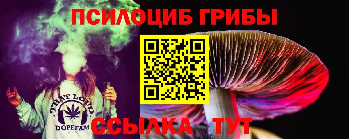 Липецк  Галлюциногенные грибы GOLDEN TEACHER  Вход с VPN 